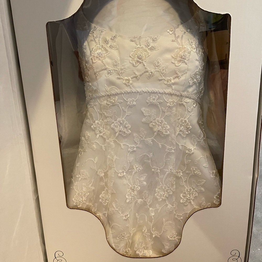 Lace Wedding Dress Fit and Flare sleeveless   Embroidered Preserve size 6